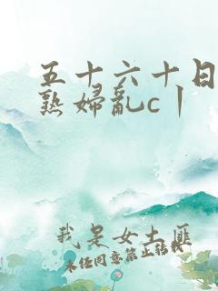 五十六十日本老熟妇乱c丨