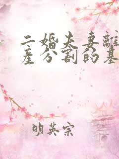 二婚夫妻离婚财产分割的基本规则