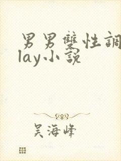 男男双性调教play小说