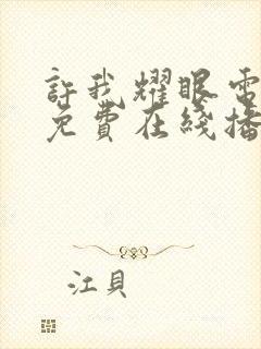 许我耀眼电视剧免费在线播放