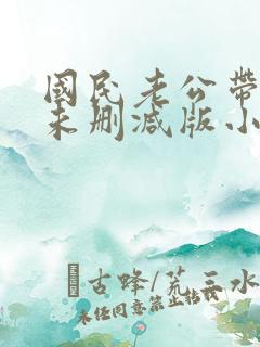 国民老公带回家未删减版小说