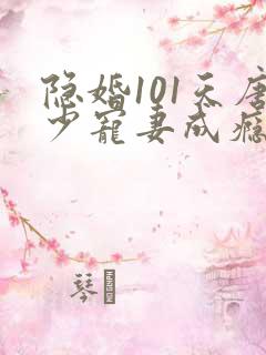 隐婚101天唐少宠妻成瘾 南之情