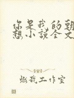 你是我的朝思暮想小说全文免费阅读