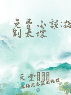 免费小说:总裁别太坏