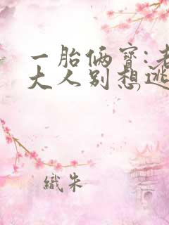 一胎俩宝:老婆大人别想逃