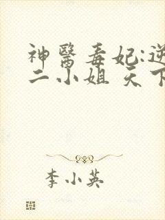 神医毒妃:逆天二小姐 天下长歌