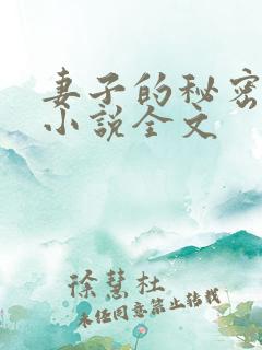 妻子的秘密吴双小说全文