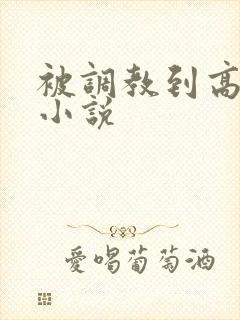 被调教到高潮的小说