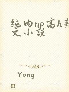 纯肉np高h辣文小说