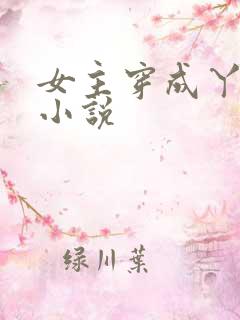 女主穿成丫鬟的小说