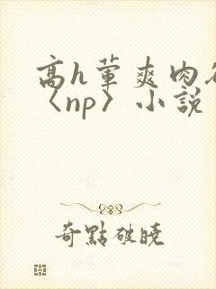高h荤爽肉欲文〈np〉小说