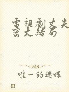 电视剧丈夫的秘密大结局