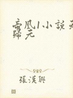 帝凰1小说天下归元