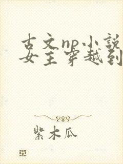 古文np小说,女主穿越到古代,后来女扮男装