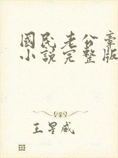 国民老公牵回家小说完整版免费阅读