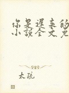 你是迟来的喜欢小说全文免费阅读