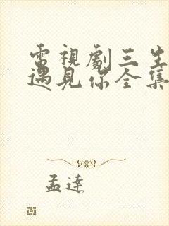 电视剧三生有幸遇见你全集免费观看