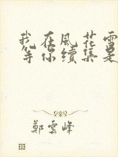 我在风花雪月里等你续集是哪一本