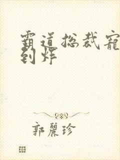 霸道总裁宠文甜到炸