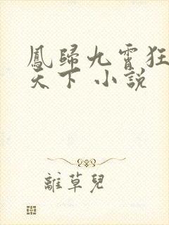 凤归九霄狂妃逆天下 小说