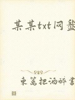 某某txt网盘