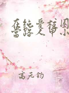 在纯爱校园文里当路人甲小说