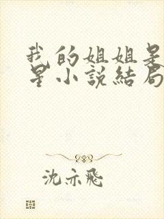 我的姐姐是大明星小说结局