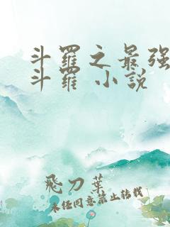 斗罗之最强本体斗罗 小说