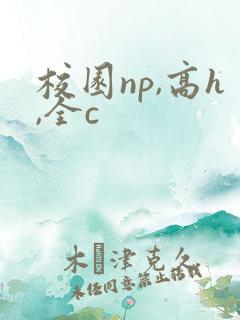 校园np,高h,全c