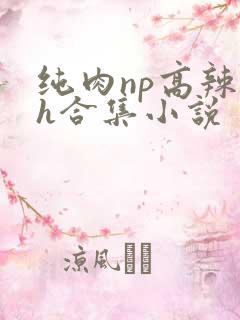 纯肉np高辣文h合集小说
