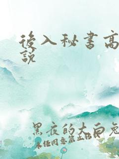 后入秘书高h小说