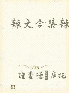 辣文合集辣文