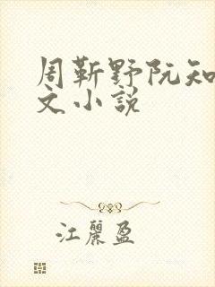 周靳野阮知夏全文小说
