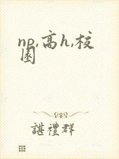 np,高h,校园