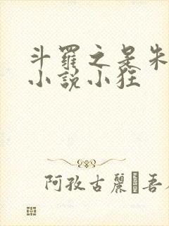 斗罗之是朱竹清小说小狂