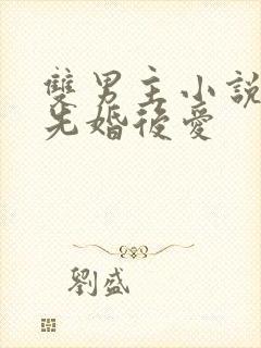 双男主小说推荐先婚后爱