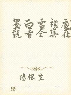 墨白电视剧免费观看全集在线播放