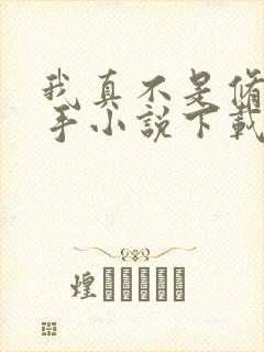 我真不是修仙高手小说下载