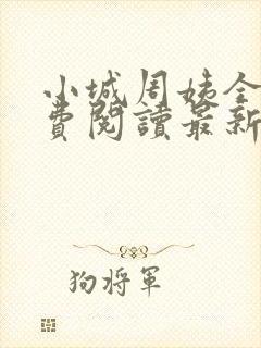 小城周姨全文免费阅读最新章节