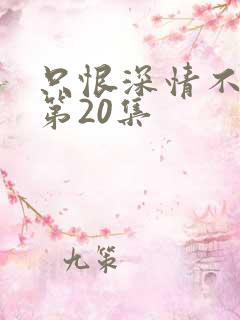 只恨深情不识鸢第20集