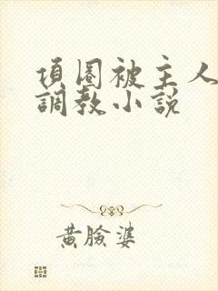 项圈被主人玩弄调教小说