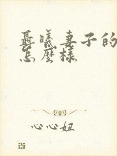 聂曦妻子的结局怎么样