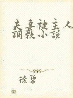 夫妻被主人一起调教小说