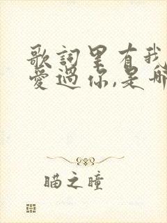 歌词里有我曾经爱过你,是哪首歌曲