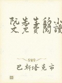 阮先生的小说全文免费阅读无弹窗