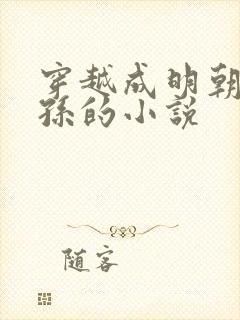 穿越成明朝皇太孙的小说