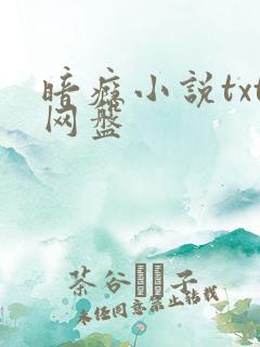 暗瘾小说txt网盘