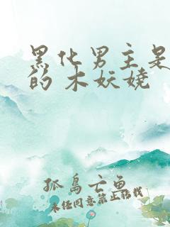 黑化男主是重生的 木妖娆
