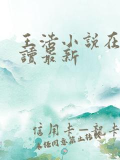 王浩小说在线阅读最新