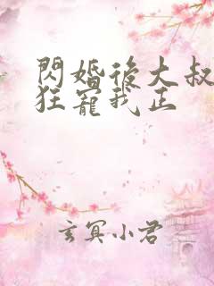 闪婚后大叔每天狂宠我正